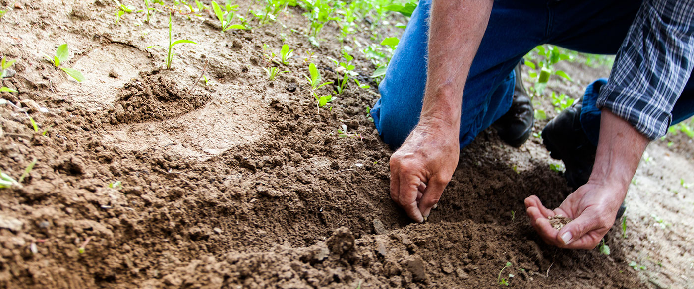 Implicancias laborales y tributarias de la nueva Ley Agraria