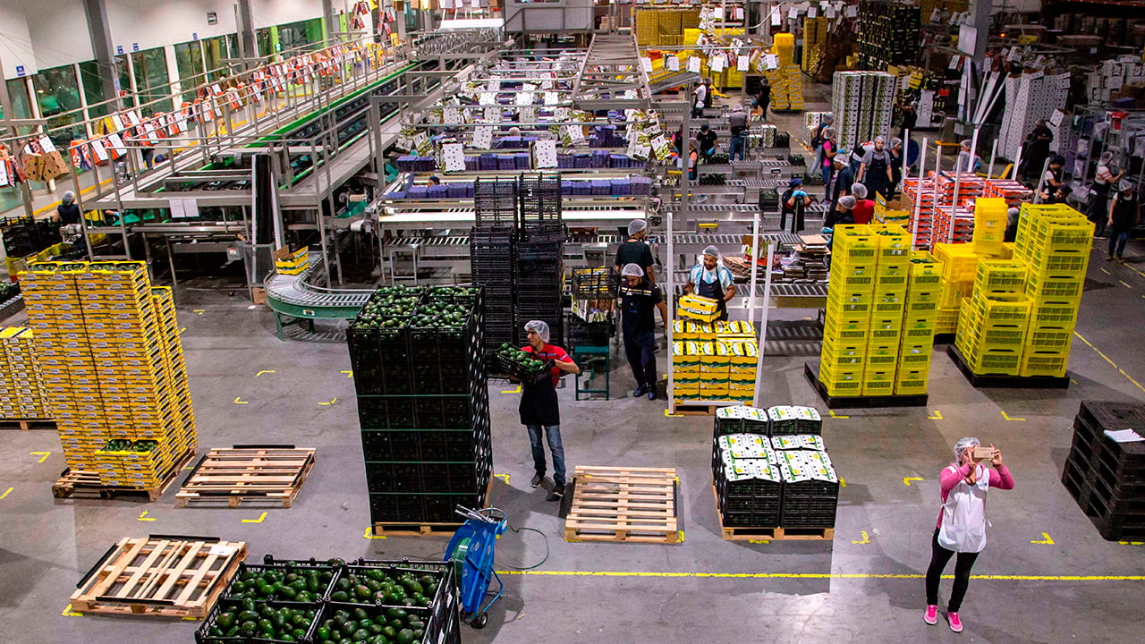 Trazabilidad Alimentaria: ¿Cómo la FSMA cambia las Reglas de la industria alimentaria?